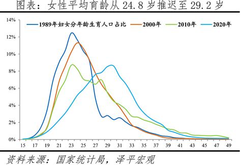 2024年出生的孩子|中国生育报告2024